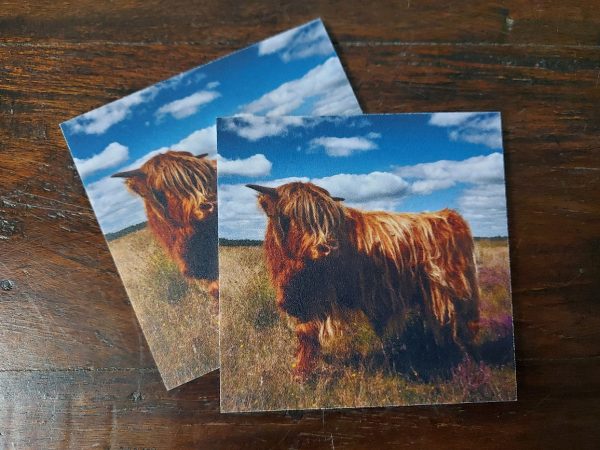 Kunststof onderzetter - Schotse Hooglander op de heide