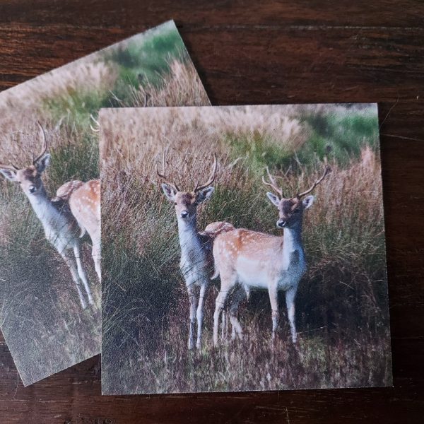 Onderzetter van kunststof met de afbeelding van twee damherten, dubbelzijdig bedrukt.