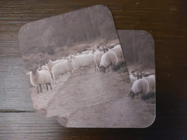 Viltje Schaapskudde - Onderzetter schapen - Afbeelding 4