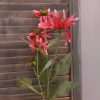 Countryfield - Rode Zonnehoed Echinacea zijden bloem - Roze - L.5 B.20 H.70cm - Afbeelding 5