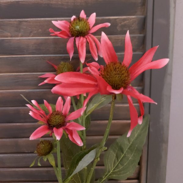 Countryfield - Rode Zonnehoed Echinacea zijden bloem - Roze - L.5 B.20 H.70cm - Afbeelding 4