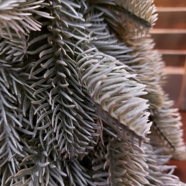 Brynxz - Nobilis kerstboom S - Ø25cm - H.32cm - Afbeelding 4