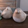 Countryfield - Vogel Tiffy M - staart omlaag - Afbeelding 5