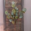 Brynxz - Eucalyptus zijdenbloem - Groen - H.64cm - Afbeelding 5