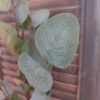 Brynxz - Eucalyptus zijdenbloem - Groen - H.64cm - Afbeelding 4