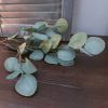 Brynxz - Eucalyptus zijdenbloem - Groen - H.64cm - Afbeelding 2