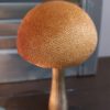 Countryfield - Paddenstoel Fungo M Bruin - H.14cm - Afbeelding 3
