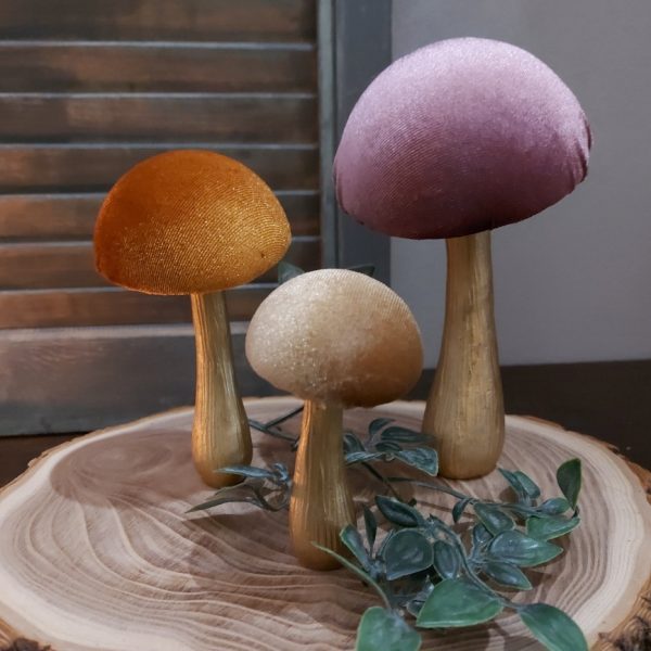 Set van drie verschillende Countryfield paddenstoelen.