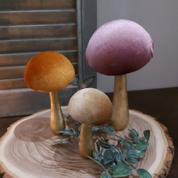 Set van drie verschillende Countryfield paddenstoelen.