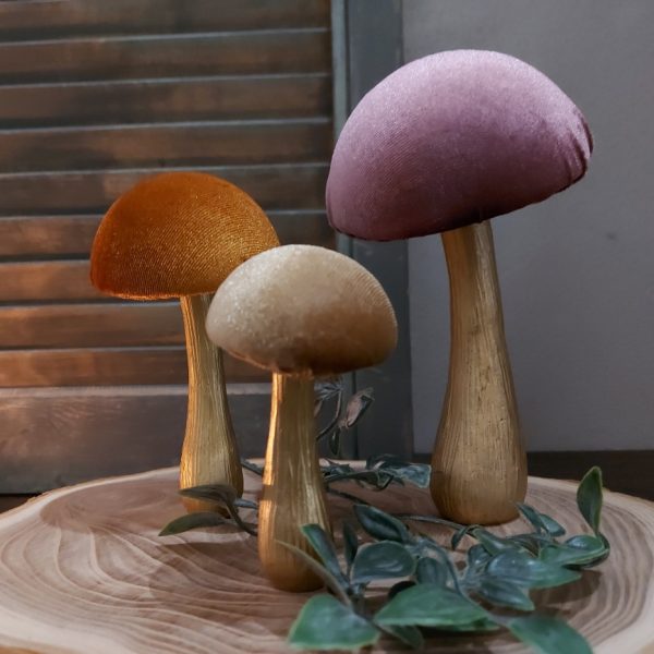 Set van drie verschillende Countryfield paddenstoelen.