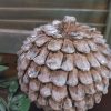 Countryfield - Dennenappel Tessel M - Aardewerk - L.12 B.12 H.12cm - Afbeelding 4