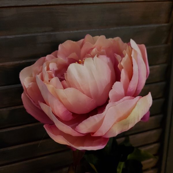 Pioenroos zijdenbloem in een roze kleur van het merk Countryfield.