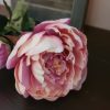 Pioenroos zijdenbloem in een roze kleur van het merk Countryfield.