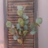 Brynxz - Eucalyptus zijdenbloem - Groen - H.64cm