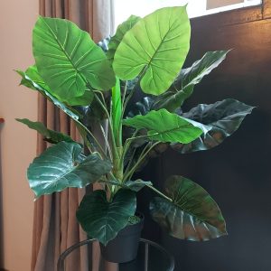 Monstera kunstplant kamerplant van Countryfield met grote groene bladeren.