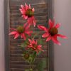 Countryfield - Rode Zonnehoed Echinacea zijden bloem - Roze - L.5 B.20 H.70cm