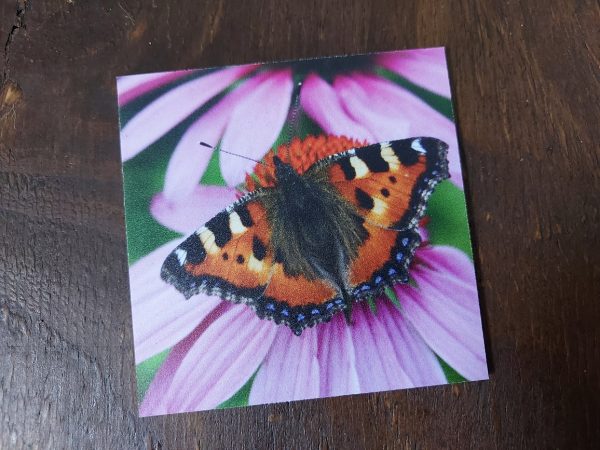 Kunststof onderzetter - Vlinder kleine vos op de rode zonnehoed - Afbeelding 2