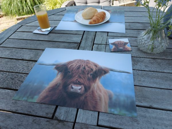 Placemat gelamineerd - Schotse Hooglander in de Herfst