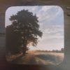 Viltje natuur - Boom bij graanveld - Onderzetter