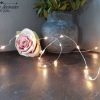 Zilverdraad LED Lichtsnoer - 2 meter - Warm white