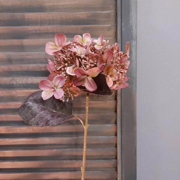 Hortensia in een oud roze kleur uitgevoerd in een kunstvariant van Brynxz.