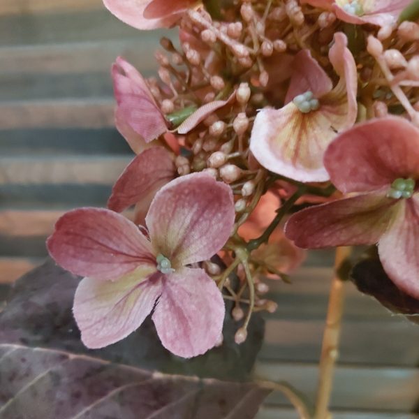 Hortensia in een oud roze kleur uitgevoerd in een kunstvariant van Brynxz.