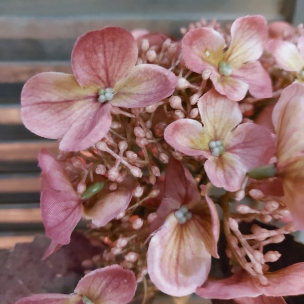 Hortensia in een oud roze kleur uitgevoerd in een kunstvariant van Brynxz.