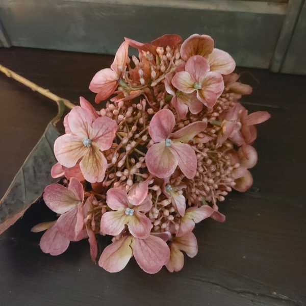 Hortensia in een oud roze kleur uitgevoerd in een kunstvariant van Brynxz.