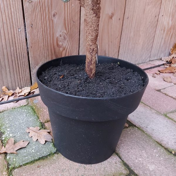 Lariks kunstboom van 120 cm hoog. De lariks kerstboom is van het merk Brynxz