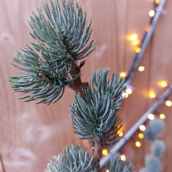 Lariks kunstboom van 120 cm hoog. De lariks kerstboom is van het merk Brynxz