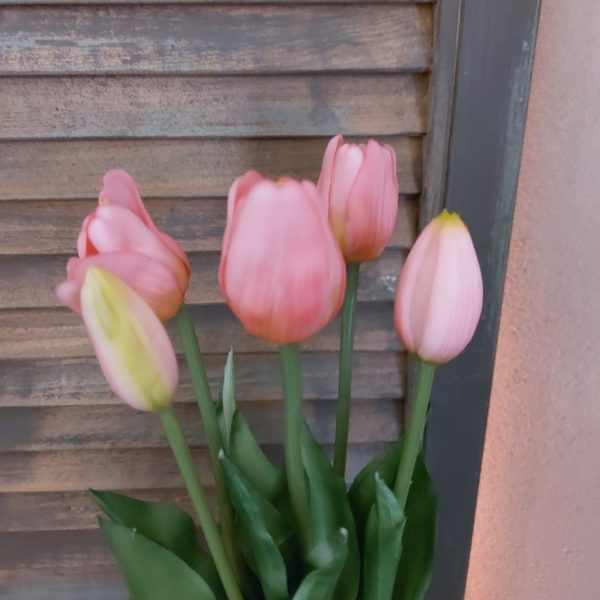 Bosje met 5 donker roze kunst tulpen van het merk Countryfield.