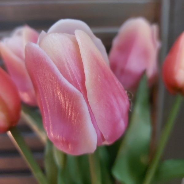 Bosje van 5 bonte kunst tulpen in een roze en crème kleur van het merk Countryfield.