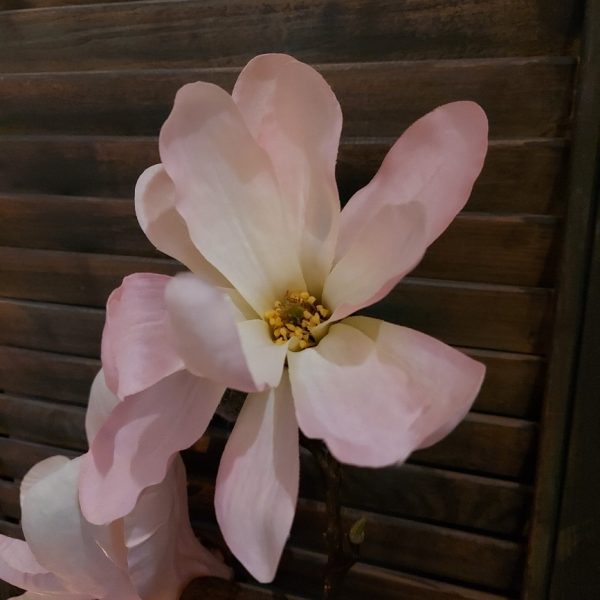 Magnolia zijdenbloemen met twee bloeiende bloemen van het merk Countryfield.