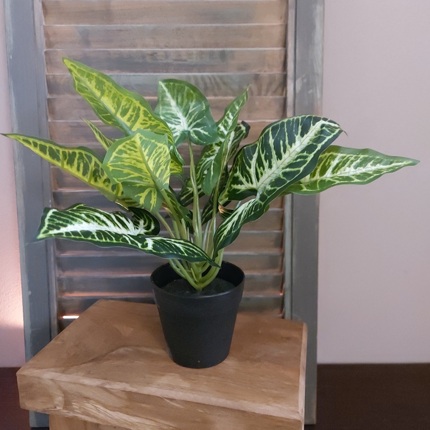 Calathea kamerplant in een kunstuitvoering van het merk Countryfield.