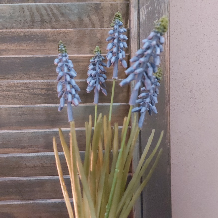 Blauwe druifjes in een kunst uitvoering van Countryfield.