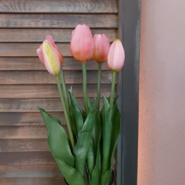 Bosje met 5 donker roze kunst tulpen van het merk Countryfield.