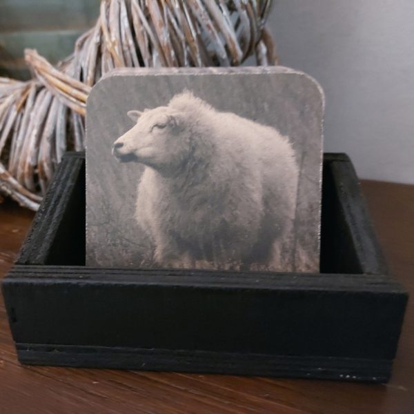 Onderzetter van viltkarton met de afbeelding van een schaap.