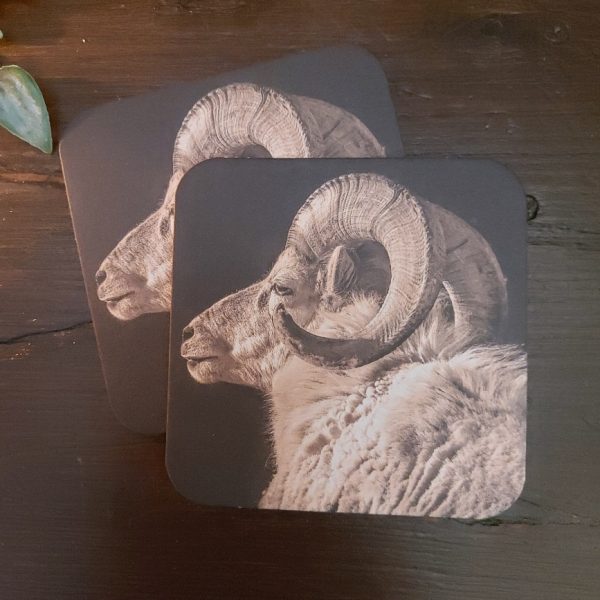 Onderzetter van viltkarton met de afbeelding van een ram.