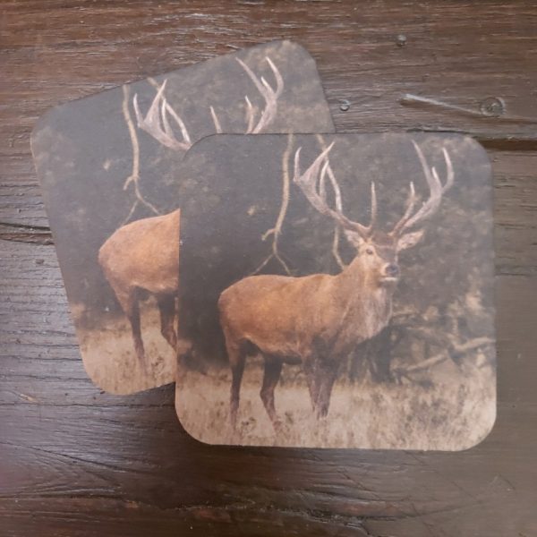 Onderzetter van viltkarton met de afbeelding van een hert met gewei op de Hoge Veluwe.