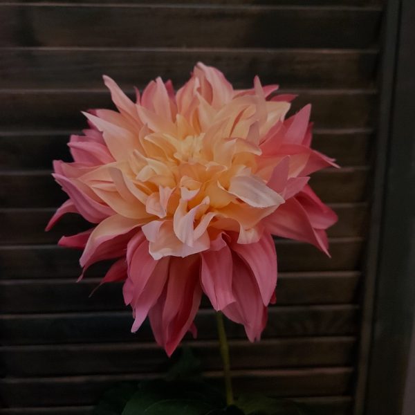 Dahlia zijden bloem in een frisse roze kleur, van het merk Brynxz.