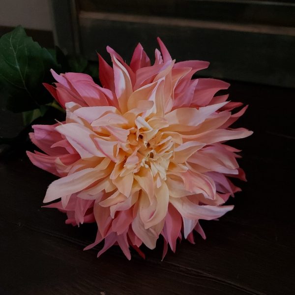 Dahlia zijden bloem in een frisse roze kleur, van het merk Brynxz.