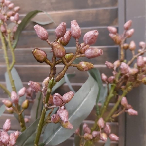 Eucalyptus kunstbloem met kleine paarse vruchtjes, van het merk Brynxz.