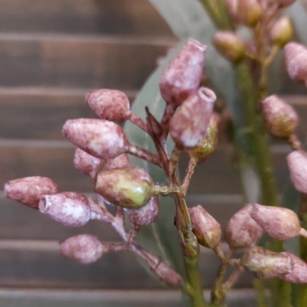 Eucalyptus kunstbloem met kleine paarse vruchtjes, van het merk Brynxz.