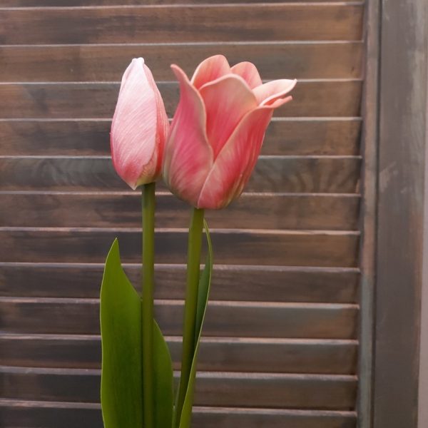 Set van twee roze kunsttulpen van het merk Brynxz.
