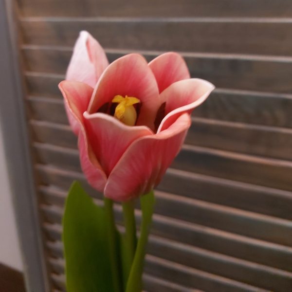 Set van twee roze kunsttulpen van het merk Brynxz.