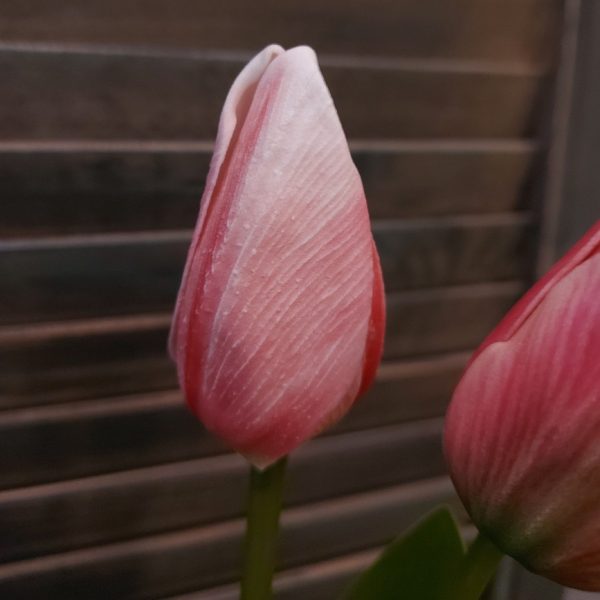 Set van twee roze kunsttulpen van het merk Brynxz.