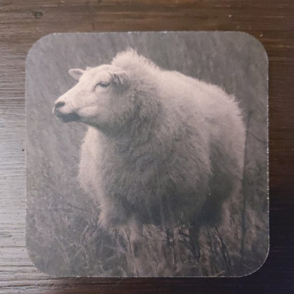 Onderzetter van viltkarton met de afbeelding van een schaap.