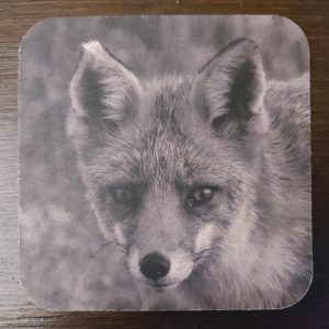 Onderzetter van viltkarton met de afbeelding van een vos.