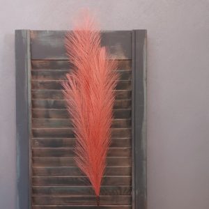 Pampas graspluim in een antiek rode kleur met een lengte van 93 cm, van het merk Mansion Atmosphere.