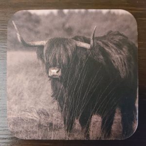 Onderzetter van viltkarton met de afbeelding van een Schotse Hooglander.